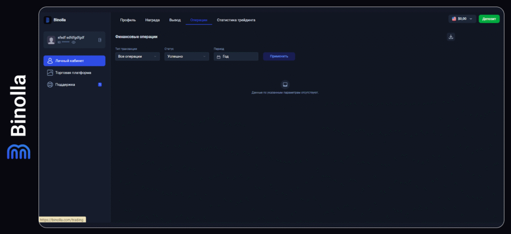 Binolla Blog Image -  Общее руководство по платформе Binolla 11